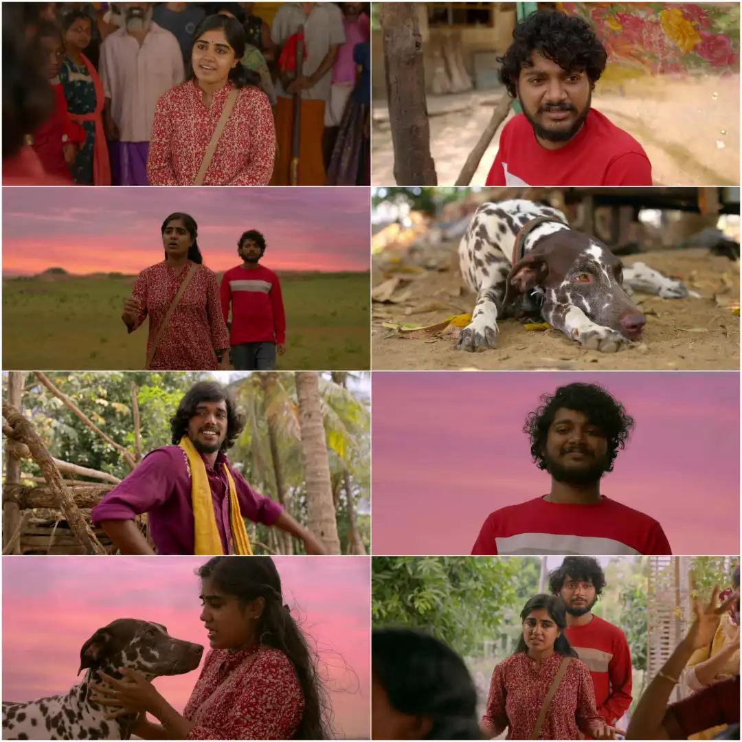 Pennum Porattum 2026 Hindi Malayalam Dual Audio UnCut South Movie  screenshot